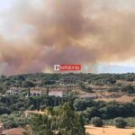 Πυρκαγιά σε αγροτοδασική έκταση στον Καραβάδο Κεφαλονιάς