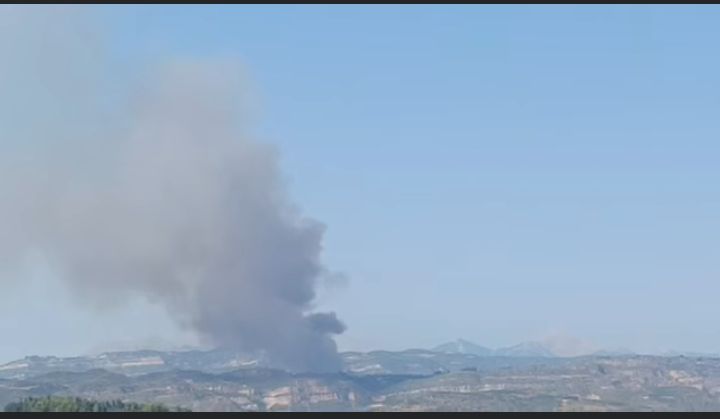 Πυρκαγιά σε δασική έκταση στην περιοχή Χελιδόνι Ηλείας