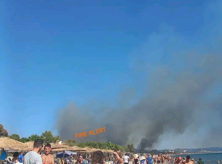 Πυρκαγιά σε χαμηλή βλάστηση στην Καστροσυκιά Πρέβεζας