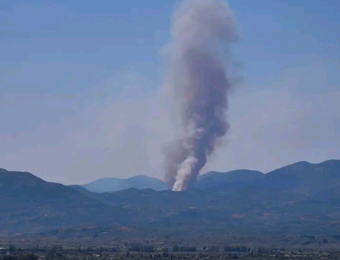 Πυρκαγιά σε αγροτοδασική έκταση στα Πετράλωνα Μεσσηνίας