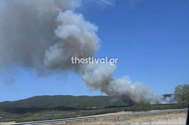 Πυρκαγιά σε αγροτοδασική έκταση στην περιοχή Μεγάλη Βόλβη Θεσσαλονίκης