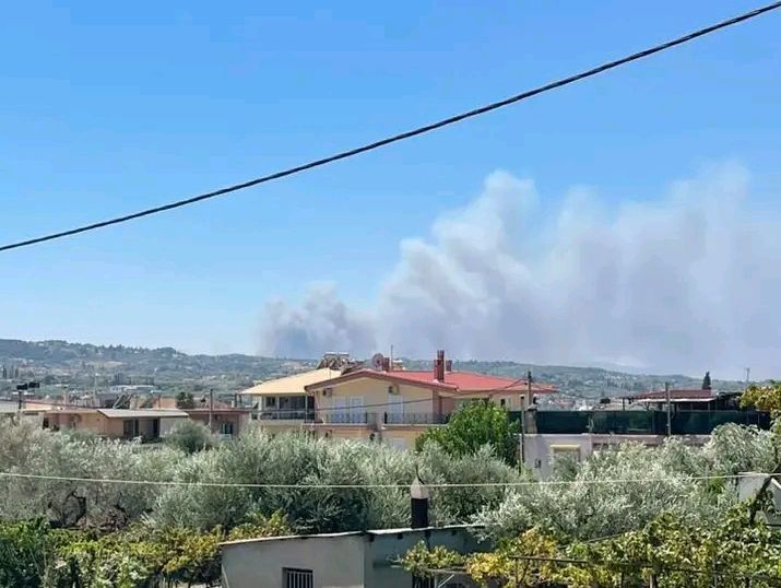 Πυρκαγιά σε χαμηλή βλάστηση στην περιοχή Φλογεραίικα Ερυμάνθου Αχαΐας