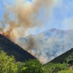 Πυρκαγιά σε δασική έκταση στην περιοχή Λιβάδι Καλαβρύτων