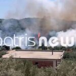 Πυρκαγιά σε αγροτοδασική έκταση στα Βυτιναίικα Ηλείας