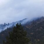 Πυρκαγιά σε δασική έκταση στη Δ.Ε. Περιβολίου Γρεβενών