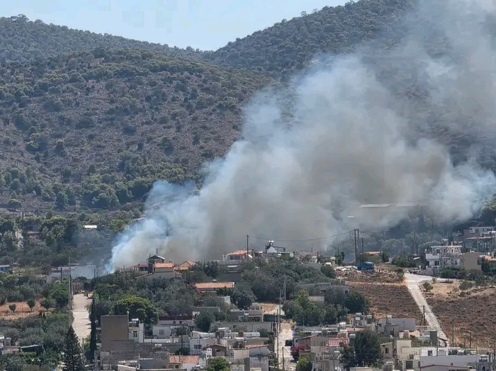 Πυρκαγιά σε χαμηλή βλάστηση στα Αμπελάκια Σαλαμίνας