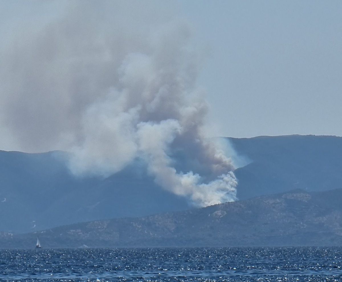 Πυρκαγιά σε δασική έκταση στην περιοχή Διαβολογέφυρο Τροιζηνίας