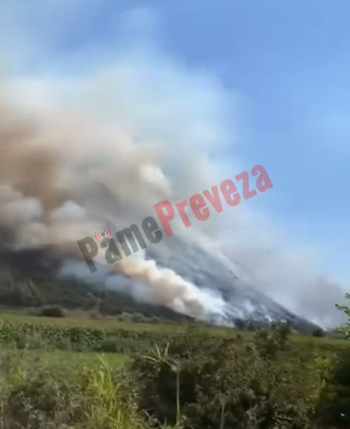 Πυρκαγιά σε δασική έκταση στην περιοχή Αηδόνι Πρέβεζας