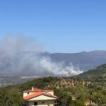 Πυρκαγιά σε αγροτοδασική έκταση στον Μελιγαλά Μεσσηνίας