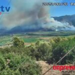 Πυρκαγιά σε δασική έκταση στην περιοχή Κλεισούρα Πάργας