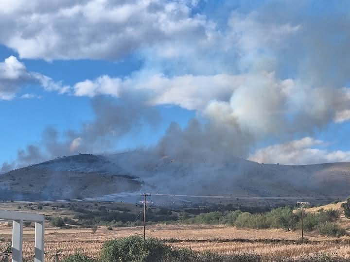 Πυρκαγιά σε χαμηλή βλάστηση στην περιοχή Νέα Νικόπολη Κοζάνης
