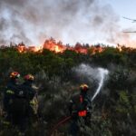 Πυρκαγιά σε δασική έκταση στο Μυρόφυλλο Τρικάλων