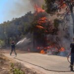 Πυροσβεστική: 41 αγροτοδασικές πυρκαγιές το τελευταίο 24ωρο
