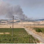 Πυρκαγιά σε χαμηλή βλάστηση στο Πολυδάμειο Λάρισας