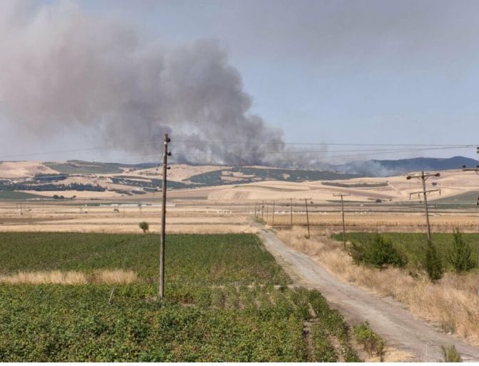 Πυρκαγιά σε χαμηλή βλάστηση στο Πολυδάμειο Λάρισας