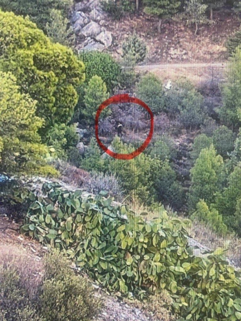 ΔΑΕΕ: Συνελήφθη αλλοδαπός για εμπρησμό στον Υμηττό – Ερευνώνται τέσσερις πυρκαγιές