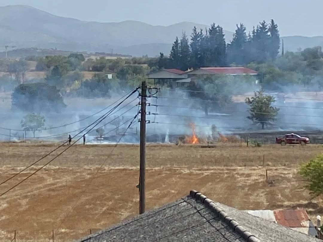 Συλλήψεις για πρόκληση πυρκαγιάς σε οικοπεδικό χώρο στην Τρίπολη