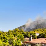 Άμεσα οριοθετήθηκε η πυρκαγιά σε χαμηλή βλάστηση στην περιοχή του Ωρωπού