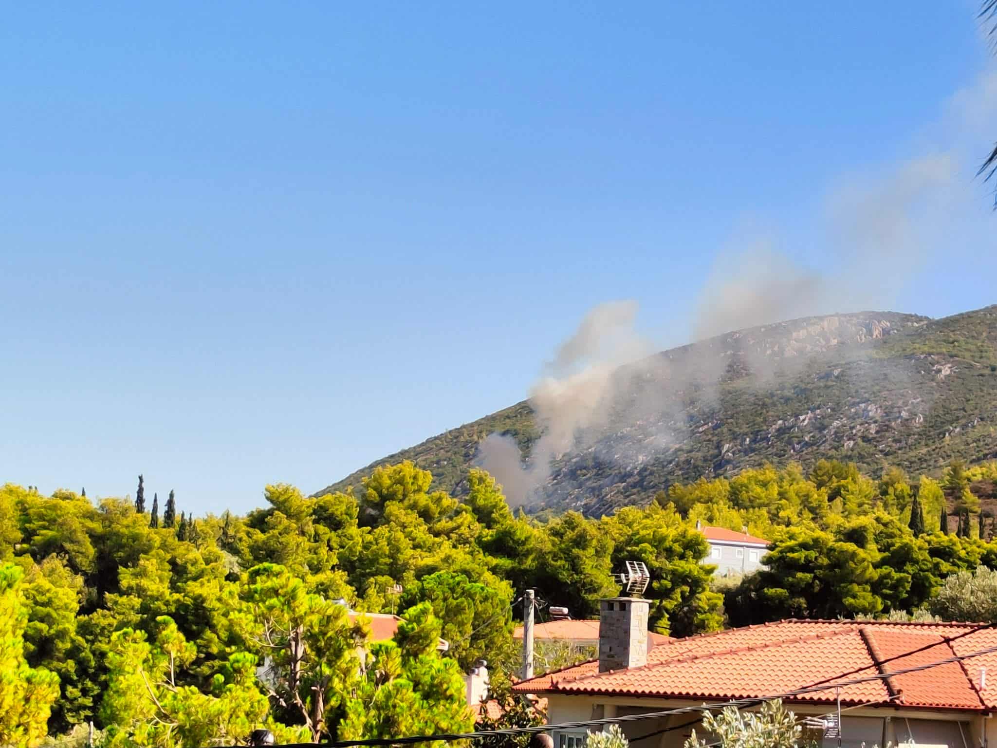 Άμεσα οριοθετήθηκε η πυρκαγιά σε χαμηλή βλάστηση στην περιοχή του Ωρωπού