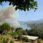 Πυρκαγιά σε δασική έκταση στην περιοχή Άλσος Αχαΐας