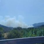 Πυρκαγιά σε δασική έκταση στην περιοχή Άλσος Αχαΐας