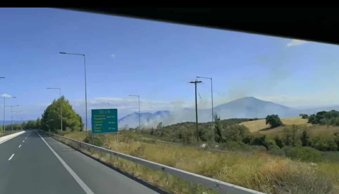 Πυρκαγιά σε χαμηλή βλάστηση στους Αγίους Θεοδώρους Μαγνησίας