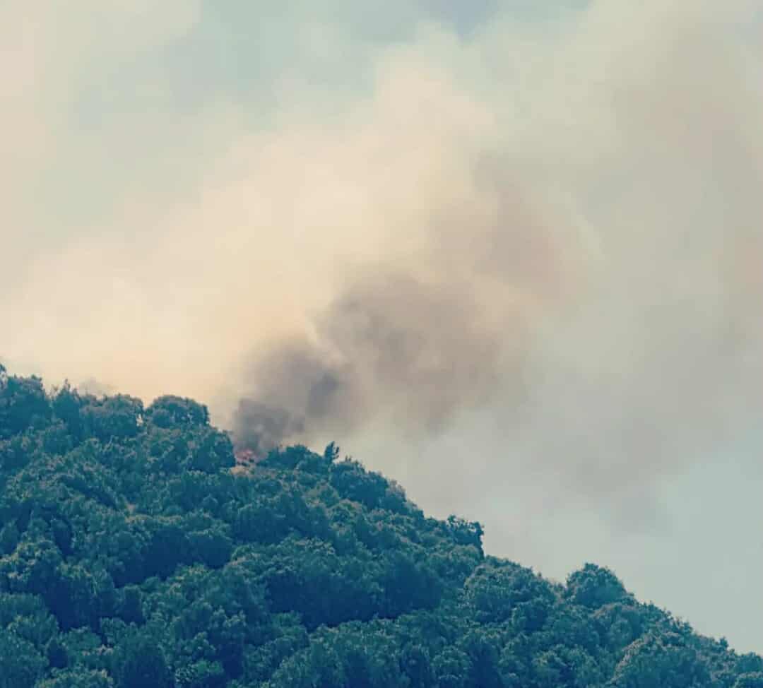 Πυρκαγιά σε δασική έκταση στο Μυρτόφυτο Καβάλας