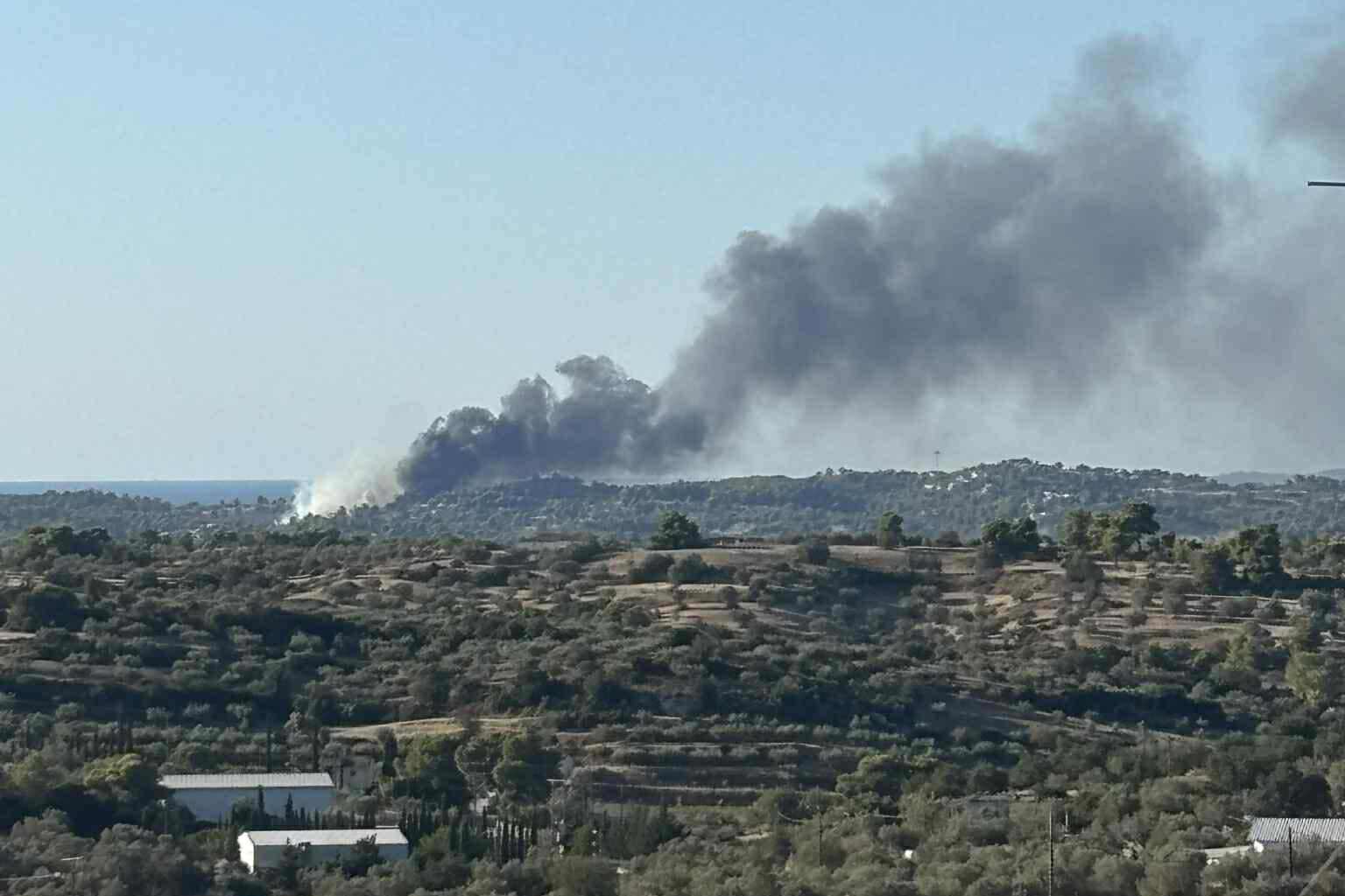 Πυρκαγιά σε δασική έκταση στην περιοχή Κουνούπι Αργολίδας