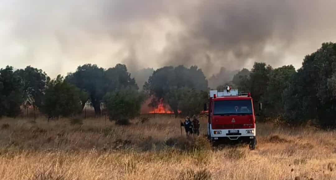 Πυρκαγιά σε αγροτοδασική έκταση στην περιοχή Μηλάκι Εύβοιας