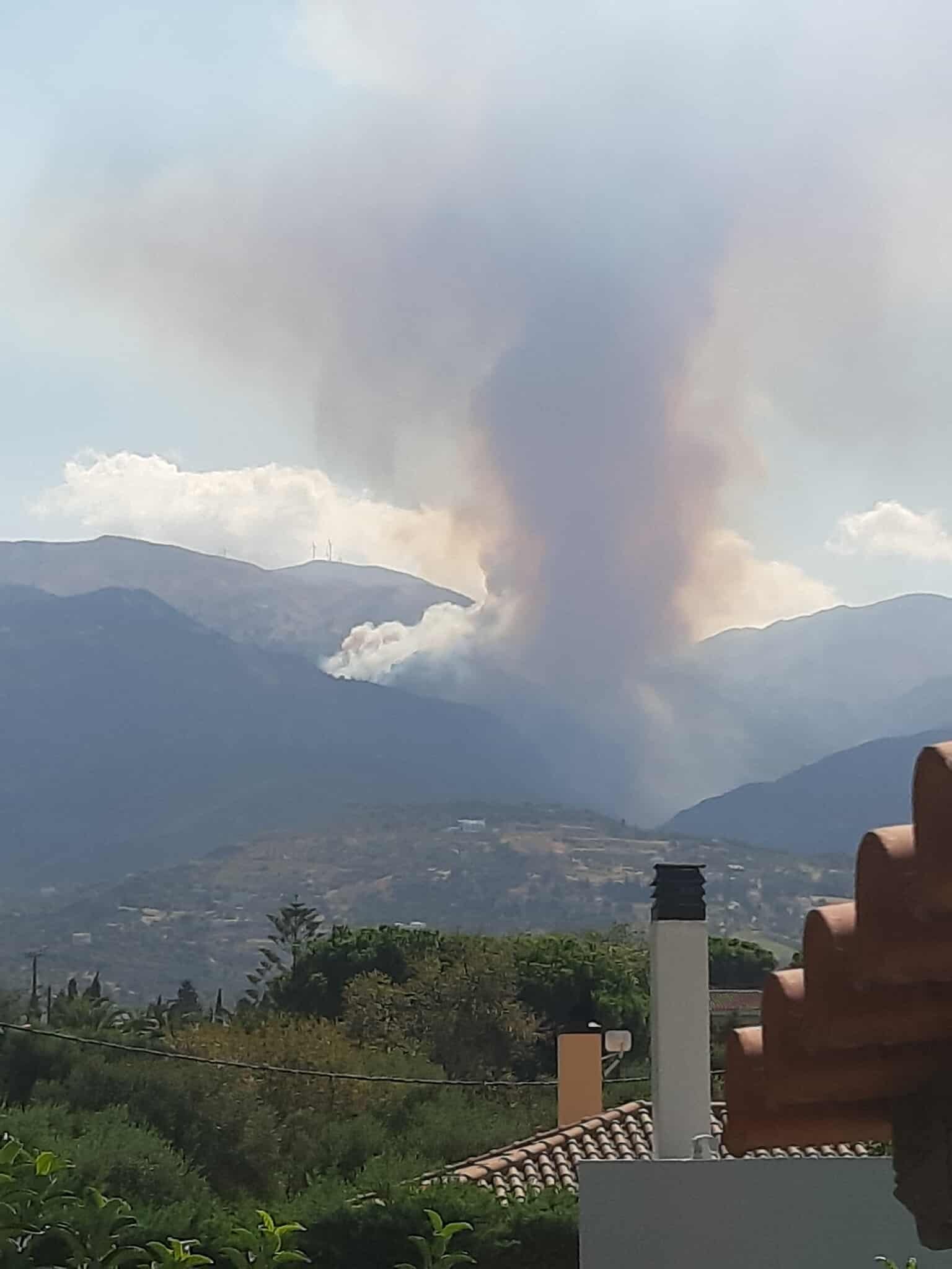 Πυρκαγιά σε δασική έκταση στην περιοχή Άνω Καστρίτσι Αχαΐας