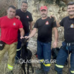 Χανιά: Απεγκλωβισμός κατσικιού από στέρνα 7 μέτρων από πυροσβέστες