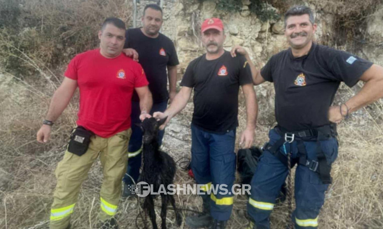 Χανιά: Απεγκλωβισμός κατσικιού από στέρνα 7 μέτρων από πυροσβέστες