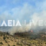 Πυρκαγιά σε δασική έκταση στη περιοχή Σπαρτουλιά Ηλείας