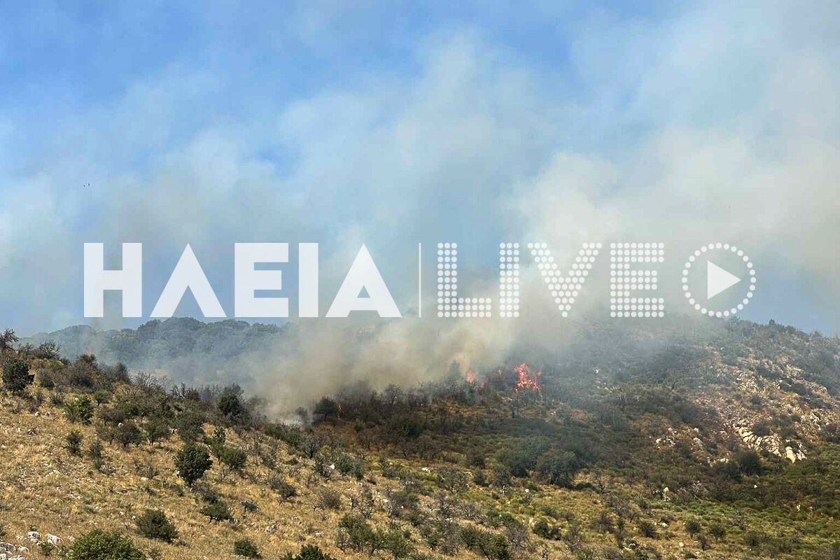 Πυρκαγιά σε δασική έκταση στη περιοχή Σπαρτουλιά Ηλείας