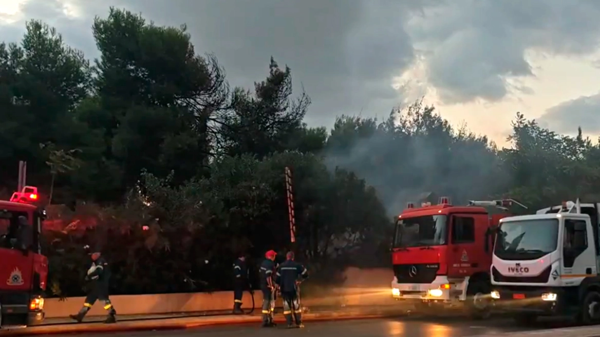 Πυρκαγιά σε επαγγελματικό χώρο στην περιοχή Αγίων Αναργύρων Αττικής