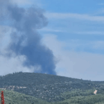 Πυρκαγιά σε δασική έκταση στην περιοχή της Πυλαίας Θεσσαλονίκης