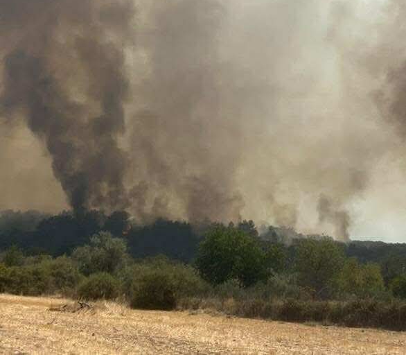 Πυρκαγιά σε αγροτοδασική έκταση στην Βρίσα Λέσβου
