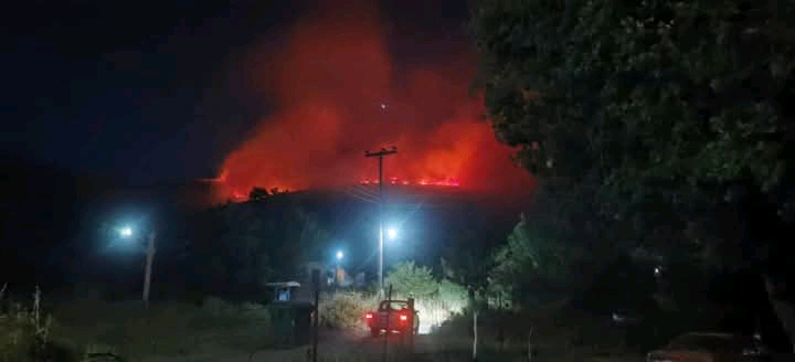 Πυρκαγιά σε δασική έκταση στην περιοχή Πετρωτό Φθιώτιδας