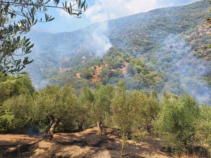 Πυρκαγιά σε αγροτοδασική έκταση στην περιοχή Αρχοντικό Λακωνίας