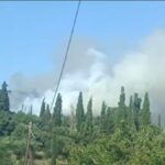 Πυρκαγιά σε αγροτοδασική έκταση στα Μεταξάτα Κεφαλονιάς