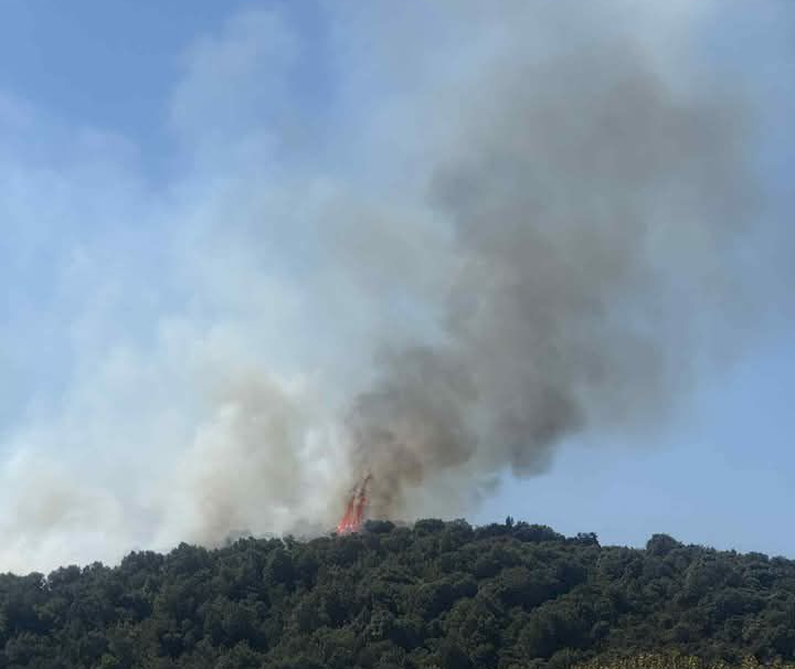 Πυρκαγιά σε δασική έκταση στο Μυρτόφυτο Καβάλας