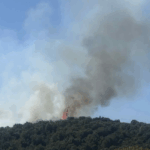 Πυρκαγιά σε δασική έκταση στο Μυρτόφυτο Καβάλας