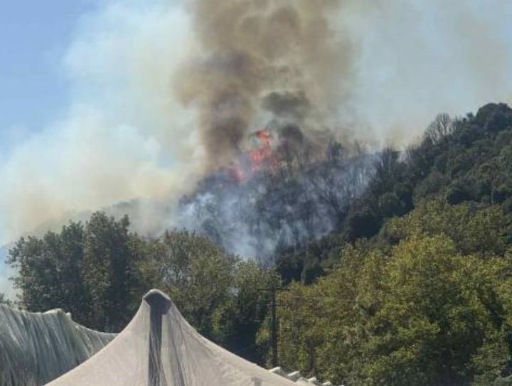 Πυρκαγιά σε δασική έκταση στο Μυρτόφυτο Καβάλας