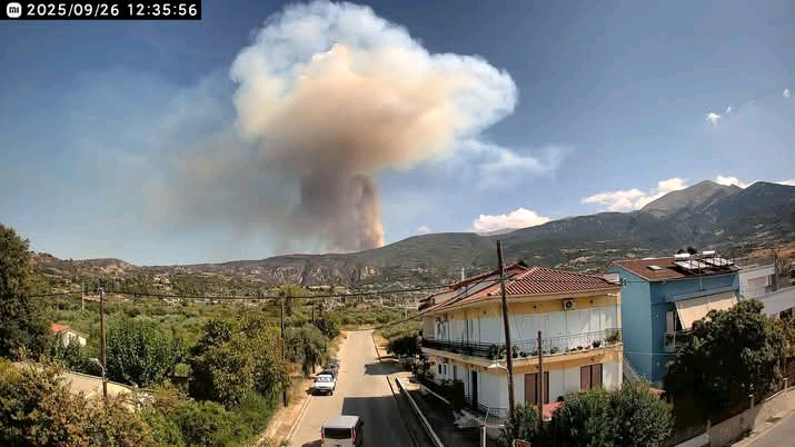 Πυρκαγιά σε δασική έκταση στην περιοχή Άνω Καστρίτσι Αχαΐας