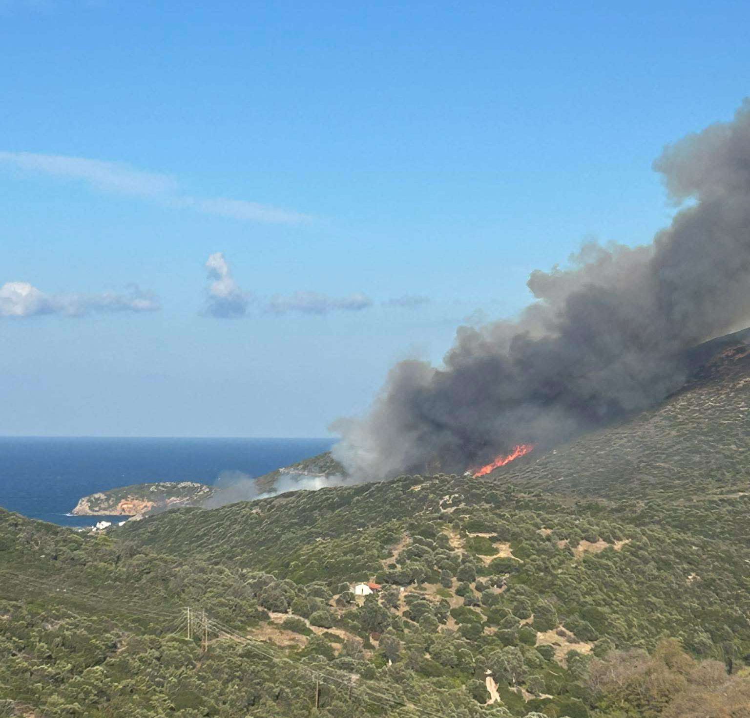 Πυρκαγιά σε δασική έκταση στην περιοχή Παράλια Ζαρακών Ευβοίας