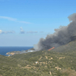 Πυρκαγιά σε δασική έκταση στην περιοχή Παράλια Ζαρακών Ευβοίας