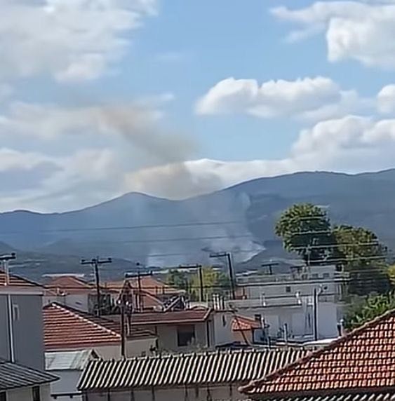 Υπό μερικό έλεγχο τέθηκε πυρκαγιά σε δασική έκταση στο Στρυμωνικό Σερρών