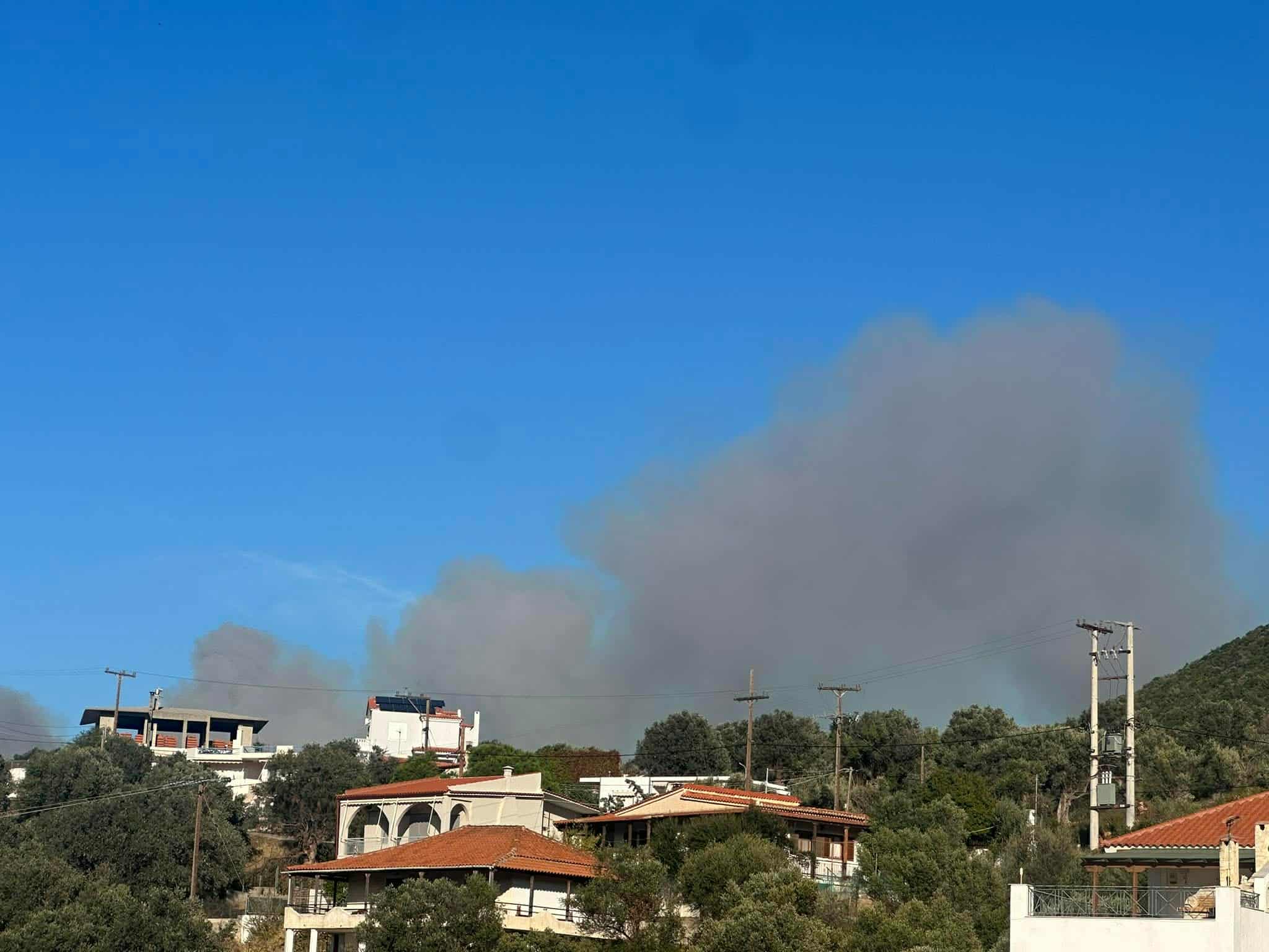 Πυρκαγιά σε δασική έκταση στην περιοχή Παράλια Ζαρακών Ευβοίας