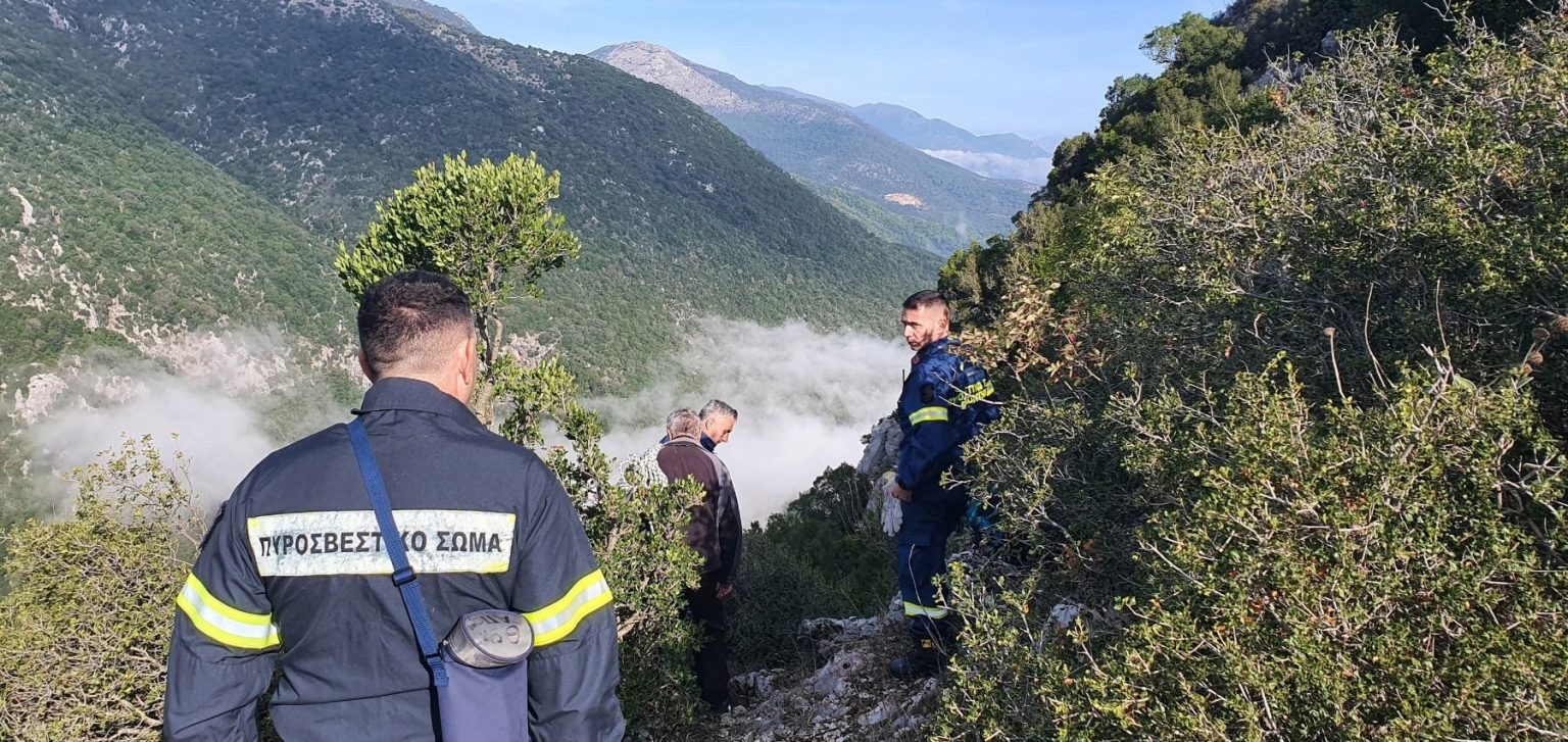 Επιχείρηση της 5ης ΕΜΑΚ για τη διάσωση τριών σκύλων από χαράδρα στις Πέντε Εκκλησιές Θεσπρωτίας