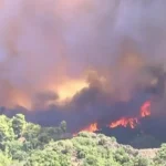 Στη φυλακή 45χρονη για εμπρησμούς στη Λαυρεωτική - Κάθειρξη 8 ετών